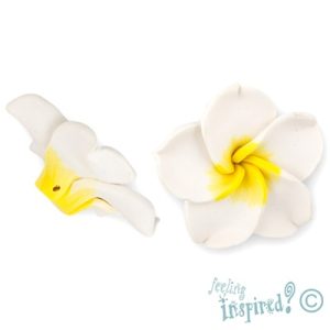 Fimo frangipani bead 30mm x 11mm - FM0017