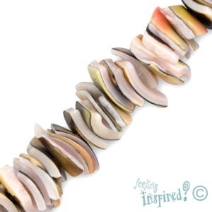 Shell chips - Qty: 250 pcs. - SH1009