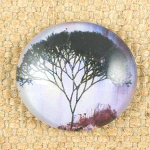 Altered art round glass dome - Qty: 5 pcs. - AA0032