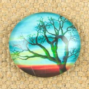 Altered art round glass dome - Qty: 5 pcs. - AA0034