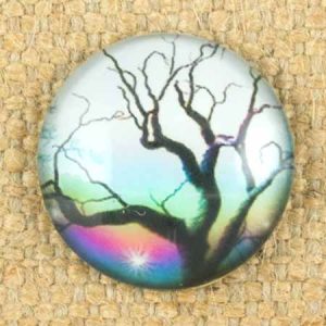 Altered art round glass dome - Qty: 5 pcs. - AA0039