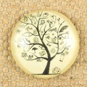 Altered art round glass dome - Qty: 5 pcs. - AA0046