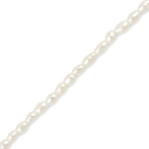 Freshwater pearl seed bead 3mm x 5mm - Qty: 55 pcs. - FW0399