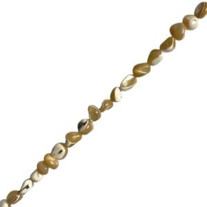 Trochus MOP - Qty: 52 pcs. - SH3100