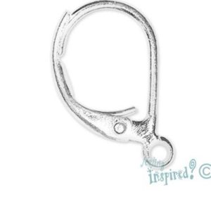 Earring hooks
