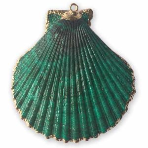 Shell pendants