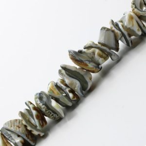 Natural shell chips dyed light grey - Qty: 109 pcs. - SH4002