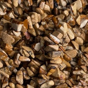 Picture Jasper chips - Qty: 300 pcs - GE1931