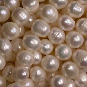 Freshwater natural pearls