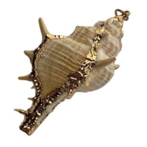 Shell pendant gold edge spike - Qty: 1 shell - SH0803