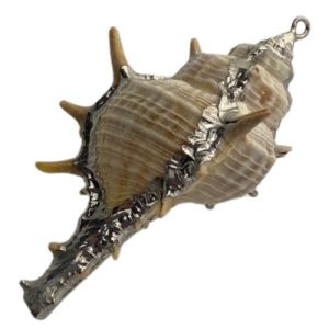 Shell pendant silver edge spike - Qty: 1 shell - SH0804