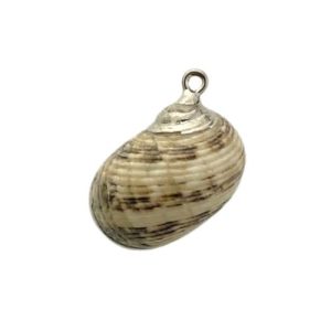 Shell pendant  - White Brown and Silver - Qty: 1 pce - SH0811