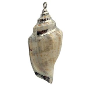 Shell pendant silver edge twist - White - Qty: 1 shell - SH0819