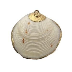 Shell pendant - White and Gold - Qty: 1 shell - SH0820