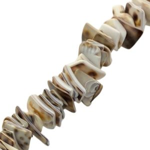 Natural tiger shell chip beads  - Qty: 70 pcs. - SH0825