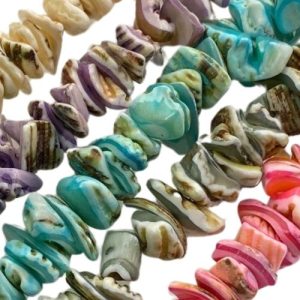 Shell Beads